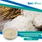 SNC | Good Fortune is a professional Rice Protein Powder supplier in China supplies all kinds of healthy ingredient.